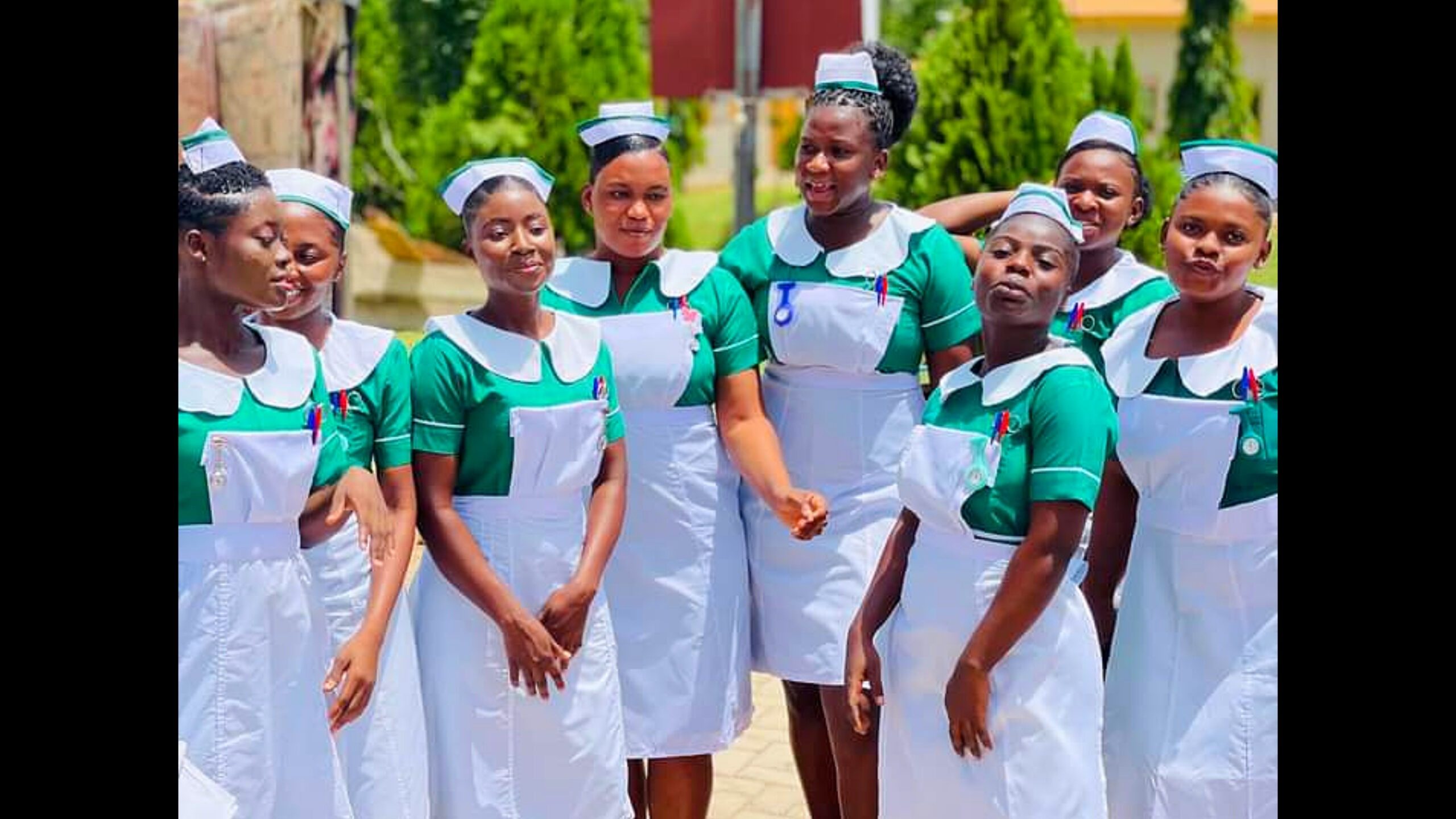 Graduate Nurses and Midwives