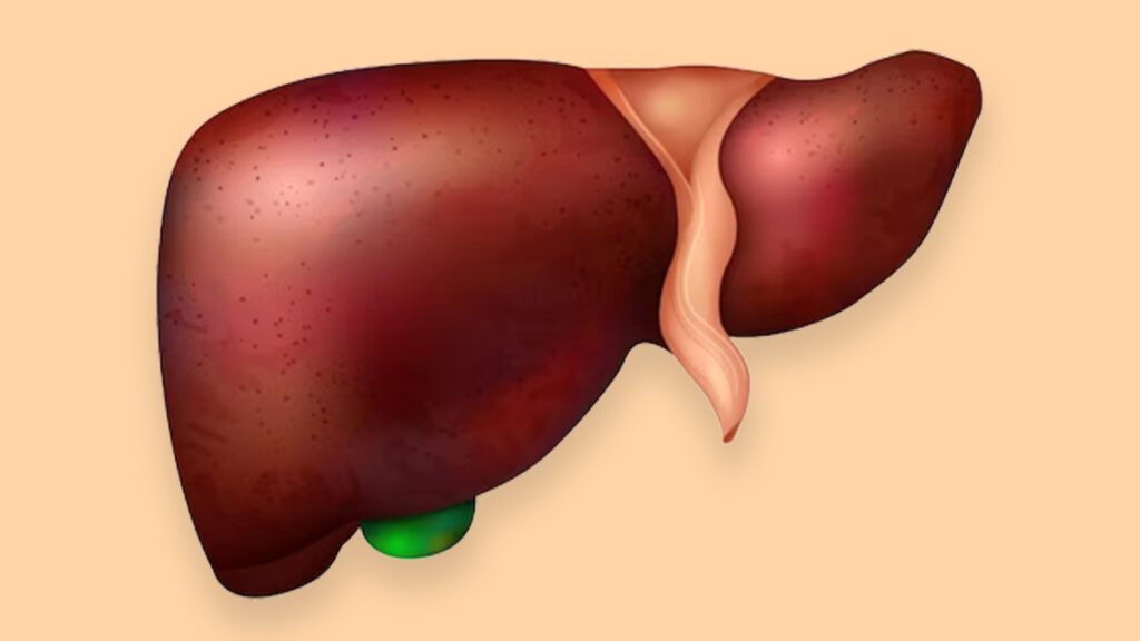 Fight Against Liver Disease
