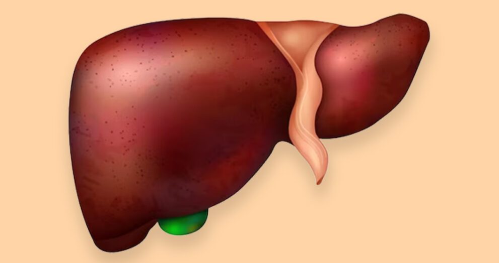 Fight Against Liver Disease